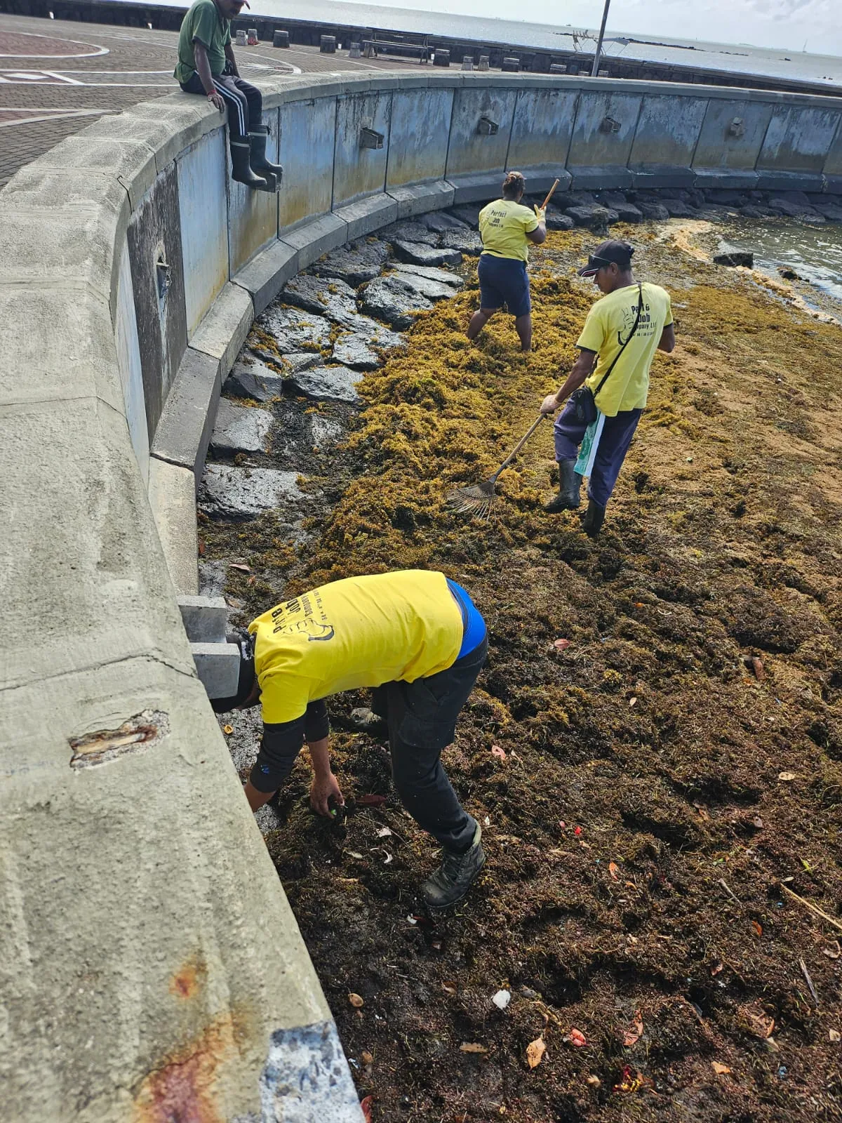 Government Facility Cleaning Public Facility Port Louis