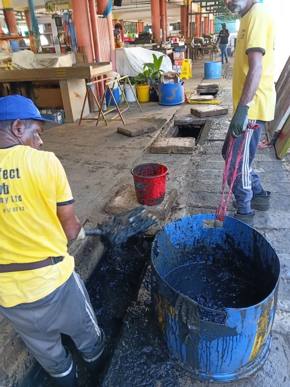 Government Building Maintenance Public Facility Port Louis