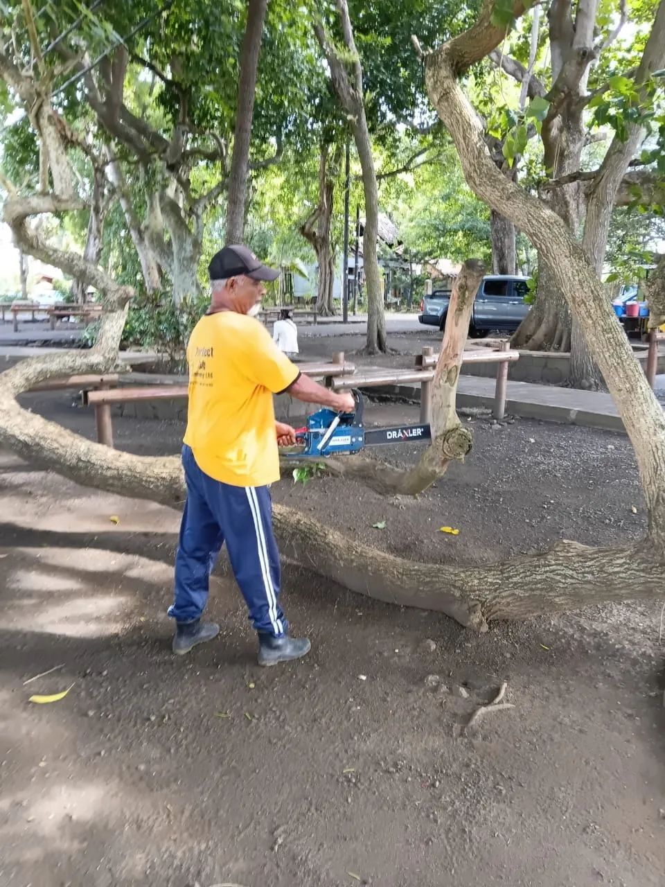 Professional Tree Cutting Service Private Property Moka